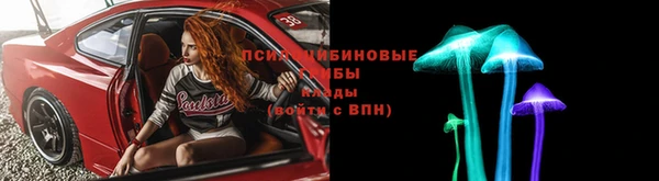 ПСИЛОЦИБИНОВЫЕ ГРИБЫ Краснослободск