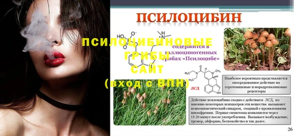 МДПВ Краснотурьинск
