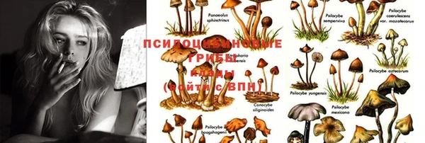 МДПВ Краснотурьинск