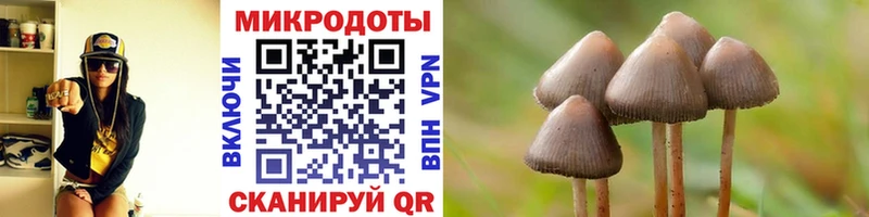 Купить  Нарткала  Галлюциногенные грибы Magic Shrooms 